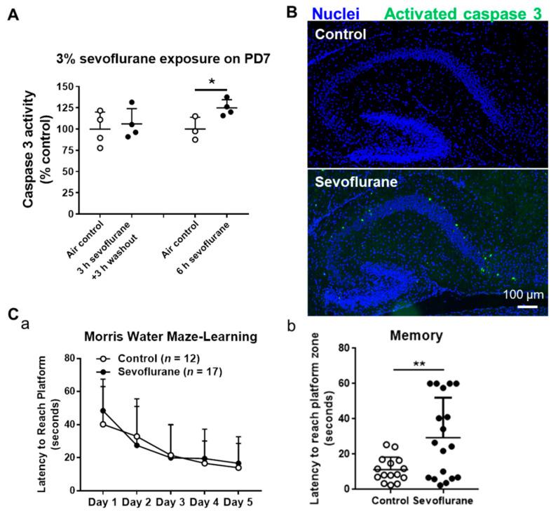 https://cdn.ncbi.nlm.nih.gov/pmc/blobs/9ba0/7869012/bbcdaeea92d4/ijms-22-01389-g001.jpg