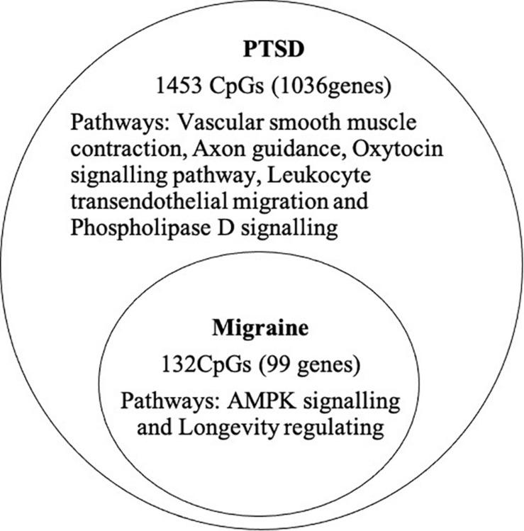 https://cdn.ncbi.nlm.nih.gov/pmc/blobs/9ba0/8258453/e34b6df4a1ff/fnins-15-678350-g004.jpg