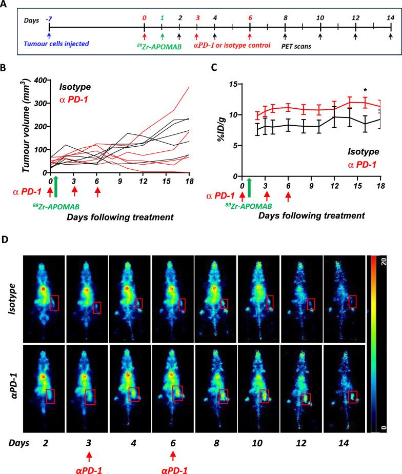 https://cdn.ncbi.nlm.nih.gov/pmc/blobs/9ba3/12164067/1988e2686b97/12967_2025_6684_Fig5_HTML.jpg