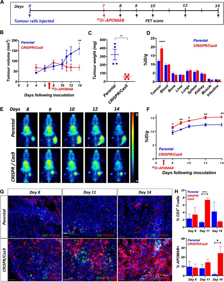 https://cdn.ncbi.nlm.nih.gov/pmc/blobs/9ba3/12164067/96f04d10891e/12967_2025_6684_Fig3_HTML.jpg