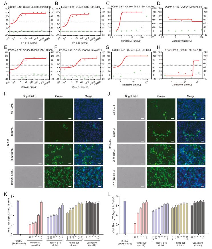 https://cdn.ncbi.nlm.nih.gov/pmc/blobs/9ba4/9170974/35c0efc03c6c/gr1.jpg