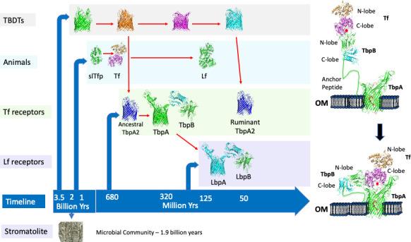 https://cdn.ncbi.nlm.nih.gov/pmc/blobs/9ba4/9853020/443b9e339cec/fcimb-12-1083090-g001.jpg