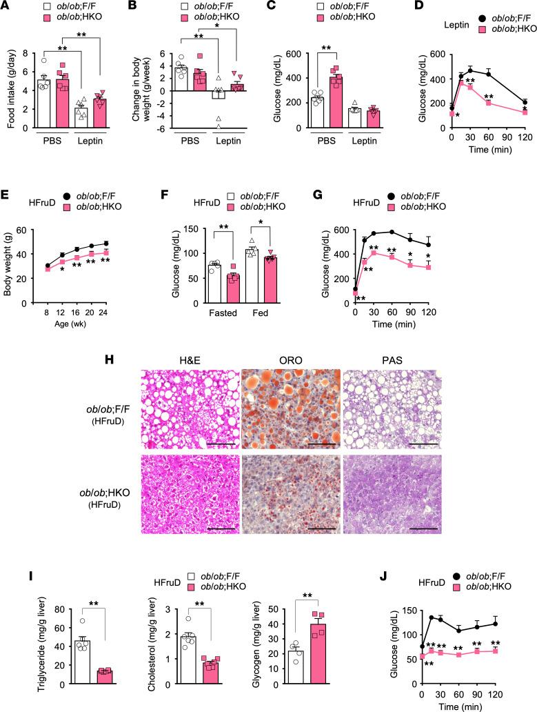 https://cdn.ncbi.nlm.nih.gov/pmc/blobs/9ba5/10544238/e2908fc7c3c2/jciinsight-8-161282-g100.jpg
