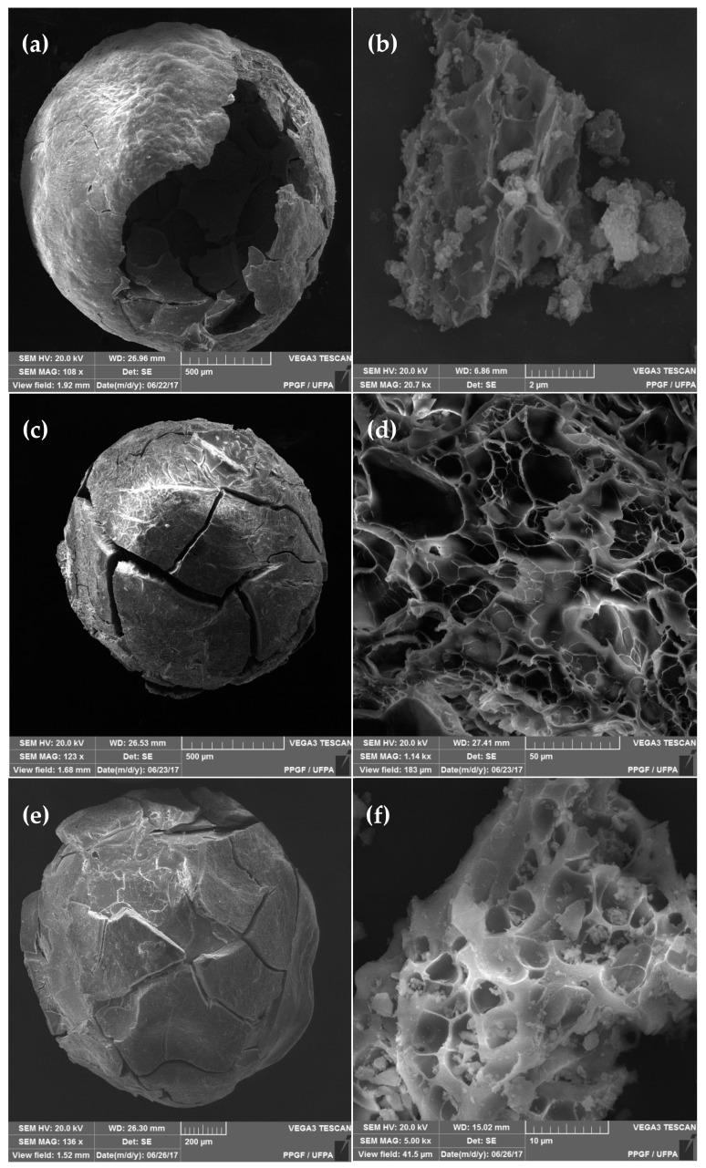 https://cdn.ncbi.nlm.nih.gov/pmc/blobs/9ba5/7254197/7ffd2f036b98/materials-13-02150-g003.jpg