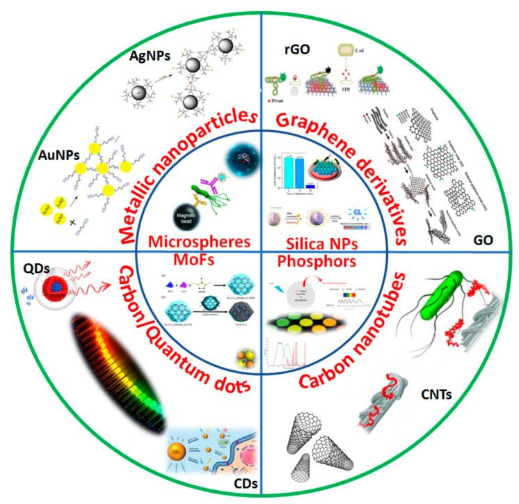 https://cdn.ncbi.nlm.nih.gov/pmc/blobs/9ba5/9953818/a40232f10152/biosensors-13-00249-g002.jpg
