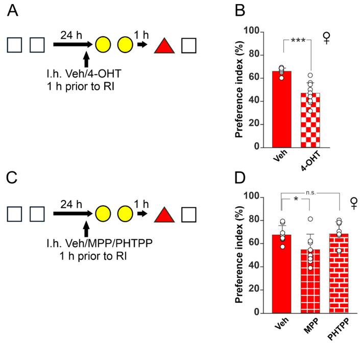 https://cdn.ncbi.nlm.nih.gov/pmc/blobs/9ba7/9219958/55d7d3842825/biomedicines-10-01387-g002.jpg