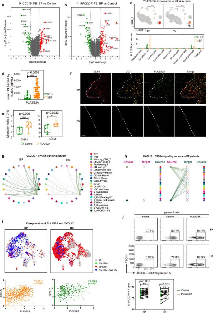 https://cdn.ncbi.nlm.nih.gov/pmc/blobs/9ba9/11251189/fee854576599/41467_2024_50283_Fig4_HTML.jpg