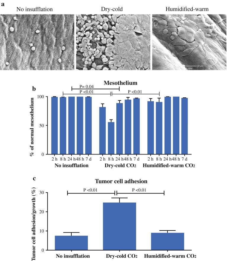 https://cdn.ncbi.nlm.nih.gov/pmc/blobs/9ba9/4687477/a5d0548f368e/10434_2015_4508_Fig4_HTML.jpg
