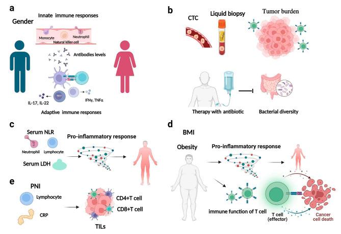 https://cdn.ncbi.nlm.nih.gov/pmc/blobs/9baa/10809515/75dff9ebe16e/12865_2024_599_Fig7_HTML.jpg
