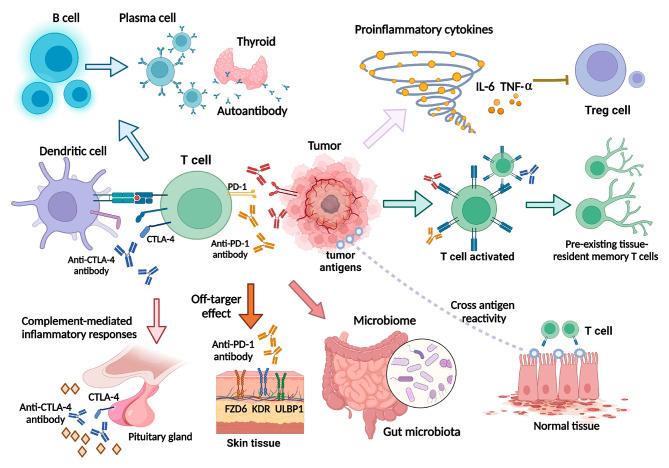 https://cdn.ncbi.nlm.nih.gov/pmc/blobs/9baa/10809515/ca7f9996e05f/12865_2024_599_Fig1_HTML.jpg