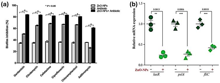 https://cdn.ncbi.nlm.nih.gov/pmc/blobs/9baa/11354832/5321b17b4bd0/ijms-25-08915-g005.jpg