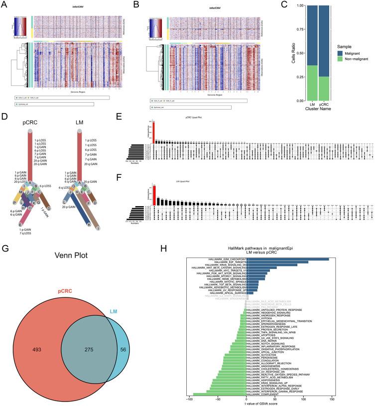 https://cdn.ncbi.nlm.nih.gov/pmc/blobs/9bab/11032667/c58deedeb170/OTT-17-345-g0003.jpg