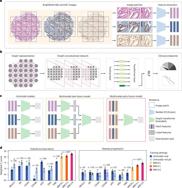 https://cdn.ncbi.nlm.nih.gov/pmc/blobs/9bab/11415301/2d37d542c42c/42256_2024_889_Fig5_HTML.jpg
