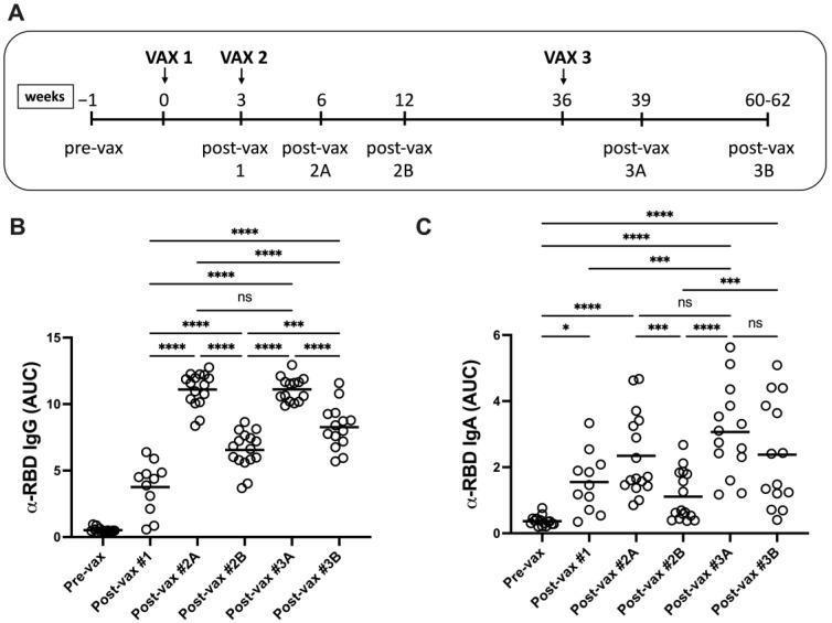 https://cdn.ncbi.nlm.nih.gov/pmc/blobs/9bac/10675463/b1ac92375845/vaccines-11-01720-g001.jpg
