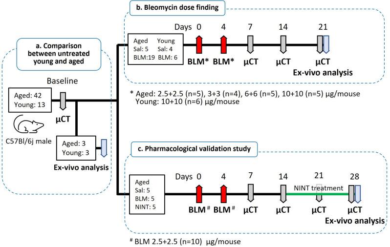 https://cdn.ncbi.nlm.nih.gov/pmc/blobs/9bad/11526612/b76ca960eb0f/12931_2024_3006_Fig1_HTML.jpg