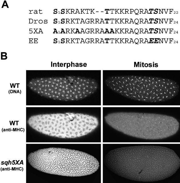 https://cdn.ncbi.nlm.nih.gov/pmc/blobs/9bad/2173028/95a8f00a3750/200203148f5.jpg