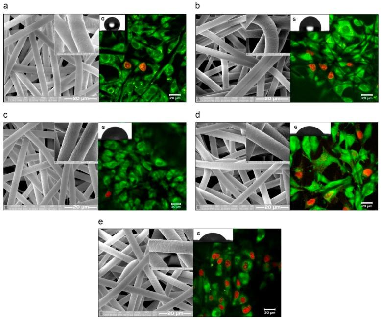 https://cdn.ncbi.nlm.nih.gov/pmc/blobs/9bad/6359597/a9b9a543dc78/nanomaterials-09-00077-g008.jpg