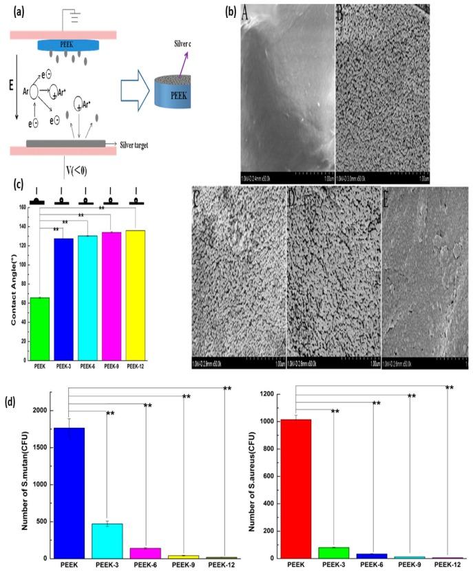 https://cdn.ncbi.nlm.nih.gov/pmc/blobs/9bad/6359597/ef81d03964a6/nanomaterials-09-00077-g007.jpg