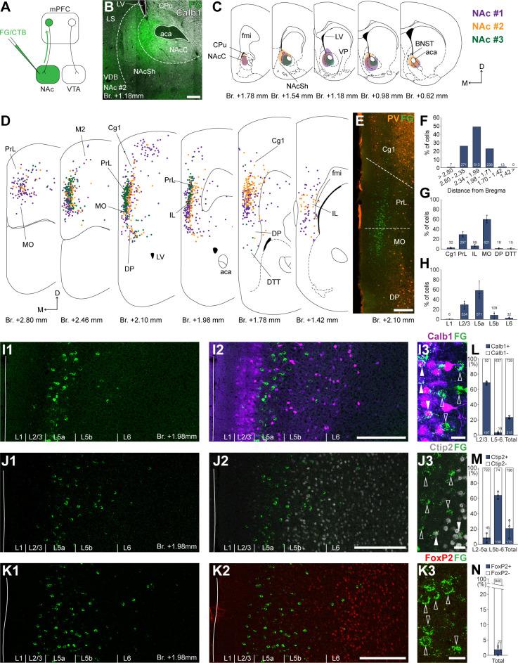 https://cdn.ncbi.nlm.nih.gov/pmc/blobs/9bad/9444245/954617721f59/elife-78813-fig1.jpg