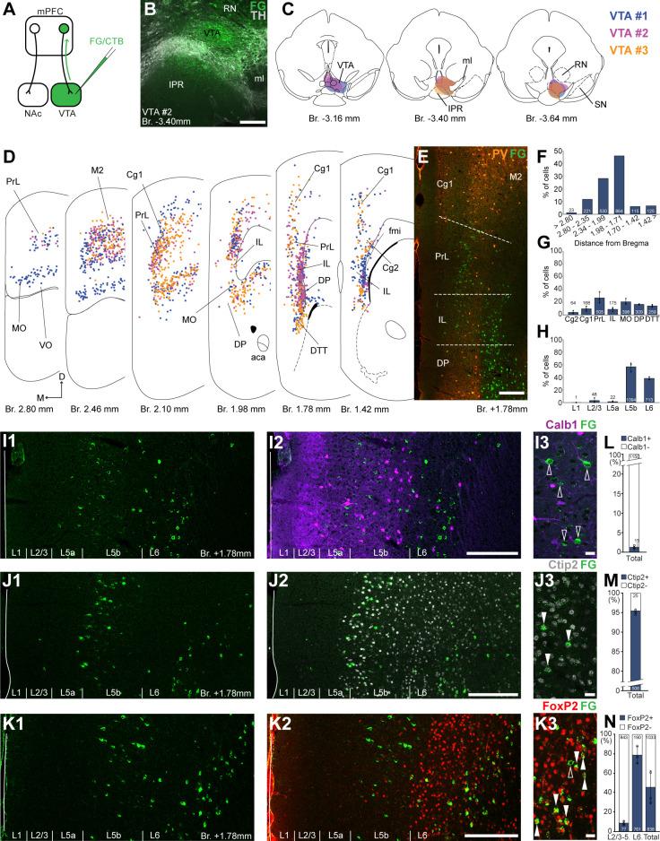 https://cdn.ncbi.nlm.nih.gov/pmc/blobs/9bad/9444245/c650e5061eef/elife-78813-fig2.jpg