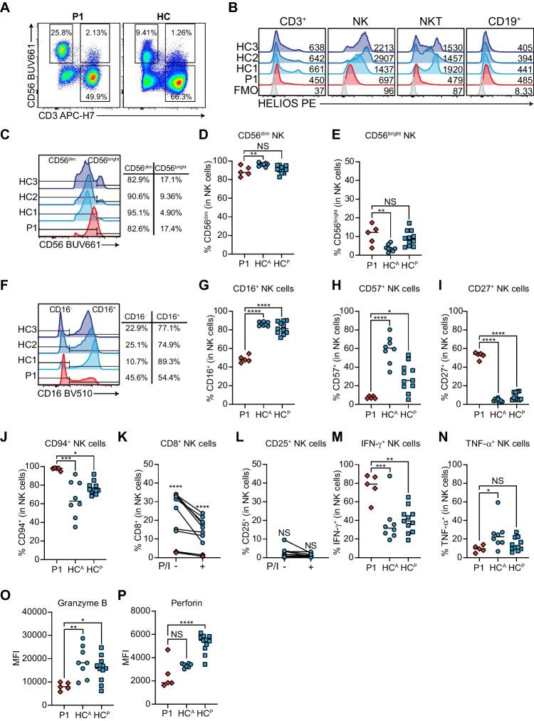 https://cdn.ncbi.nlm.nih.gov/pmc/blobs/9bae/12037660/c309410981ea/10875_2025_1882_Fig3_HTML.jpg