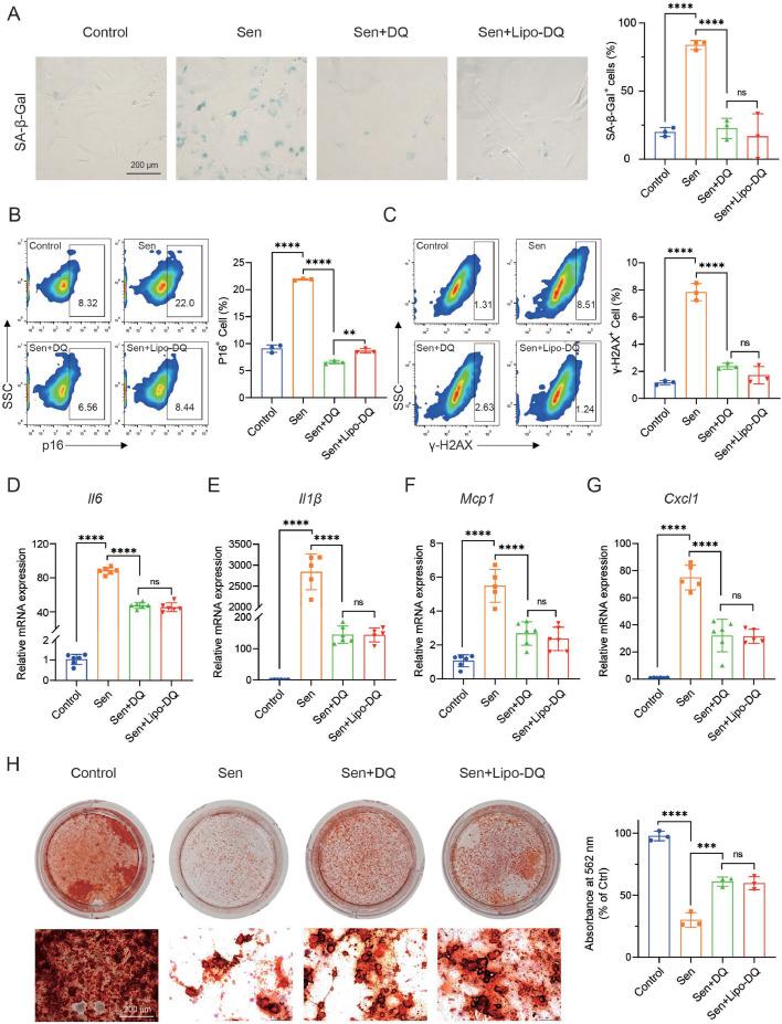 https://cdn.ncbi.nlm.nih.gov/pmc/blobs/9bb0/12327876/466c1c9eacfa/gr3.jpg