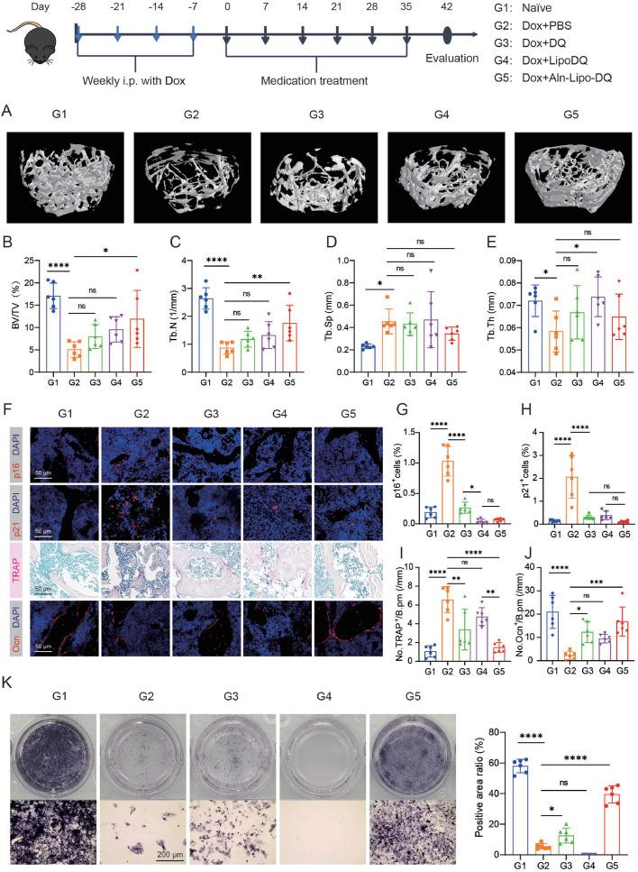 https://cdn.ncbi.nlm.nih.gov/pmc/blobs/9bb0/12327876/a44328341d8c/gr4.jpg