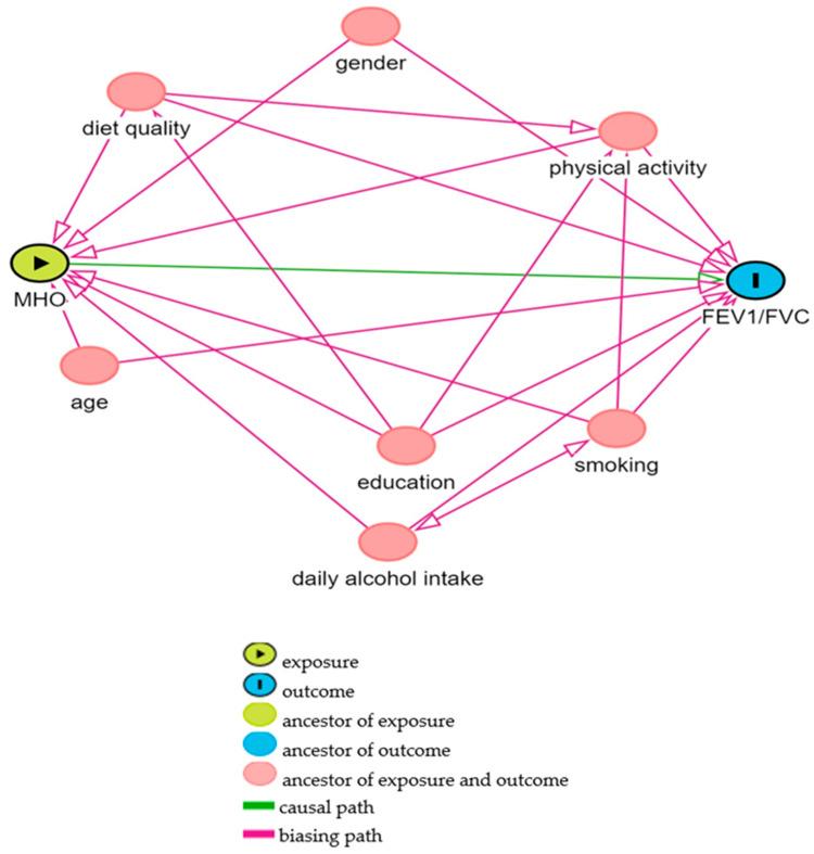https://cdn.ncbi.nlm.nih.gov/pmc/blobs/9bb1/11676256/de64fa2c486c/nutrients-16-04256-g002.jpg