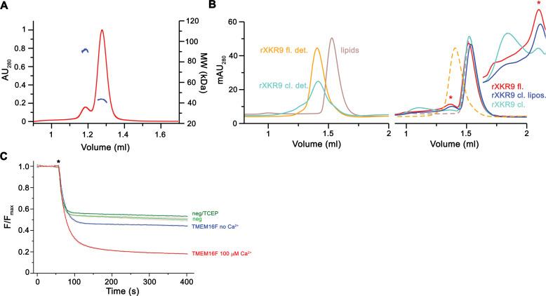https://cdn.ncbi.nlm.nih.gov/pmc/blobs/9bb2/8298096/2f064b8faa50/elife-69800-fig1-figsupp1.jpg