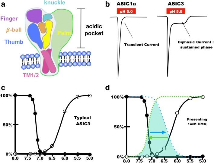 https://cdn.ncbi.nlm.nih.gov/pmc/blobs/9bb3/5966886/d38d8fdb7313/12929_2018_448_Fig2_HTML.jpg