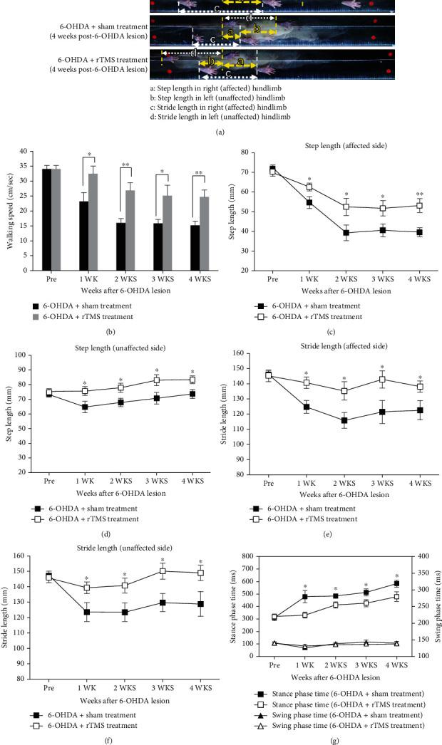 https://cdn.ncbi.nlm.nih.gov/pmc/blobs/9bb3/8723880/54310eb2f3e6/NP2021-1763533.004.jpg