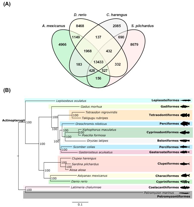 https://cdn.ncbi.nlm.nih.gov/pmc/blobs/9bb4/6210256/c9aae02ab18c/genes-09-00485-g002.jpg