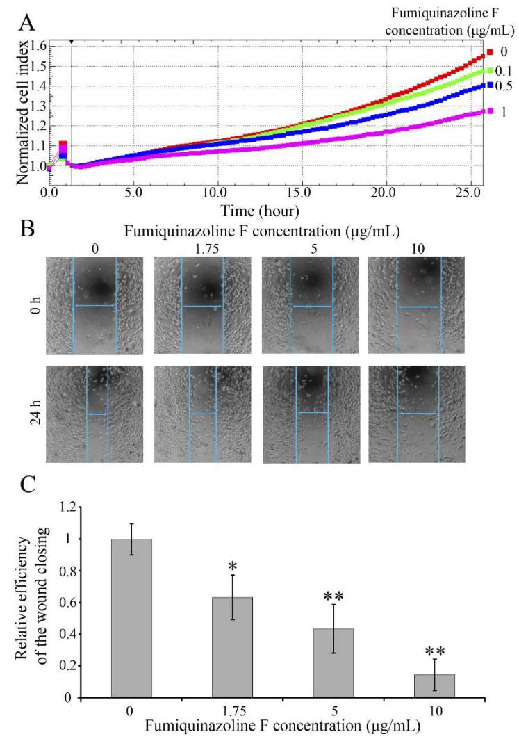 https://cdn.ncbi.nlm.nih.gov/pmc/blobs/9bb5/12347039/4acb2ce3b846/ijms-26-07582-g003.jpg