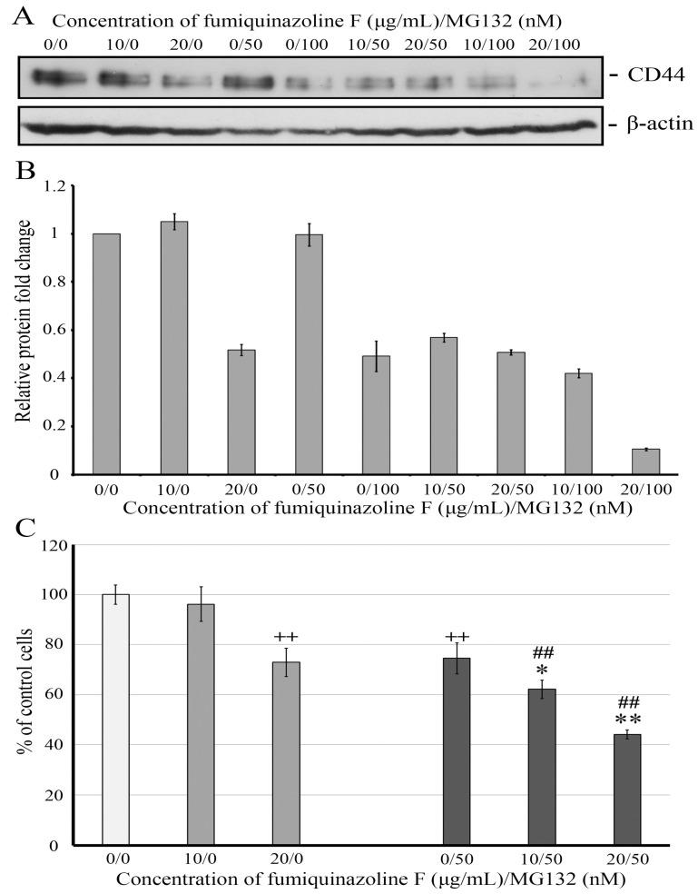 https://cdn.ncbi.nlm.nih.gov/pmc/blobs/9bb5/12347039/782b7762d741/ijms-26-07582-g008.jpg