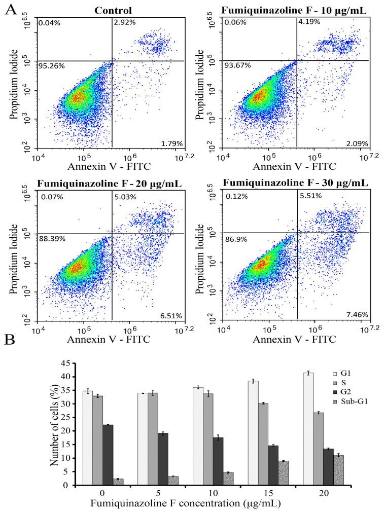https://cdn.ncbi.nlm.nih.gov/pmc/blobs/9bb5/12347039/fed4fc065948/ijms-26-07582-g002.jpg