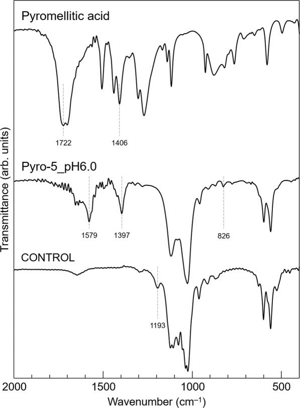 https://cdn.ncbi.nlm.nih.gov/pmc/blobs/9bb5/9814588/c0368722c6aa/42004_2020_443_Fig5_HTML.jpg