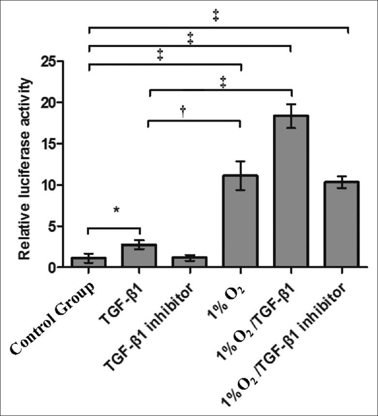 https://cdn.ncbi.nlm.nih.gov/pmc/blobs/9bb6/5407042/77c1247065bd/CMJ-130-950-g003.jpg