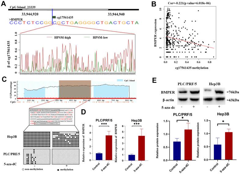 https://cdn.ncbi.nlm.nih.gov/pmc/blobs/9bb9/10866447/6b6f4a2bd8db/aging-16-205454-g006.jpg