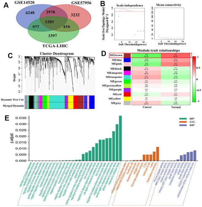 https://cdn.ncbi.nlm.nih.gov/pmc/blobs/9bb9/10866447/db7f5eb684fd/aging-16-205454-g001.jpg