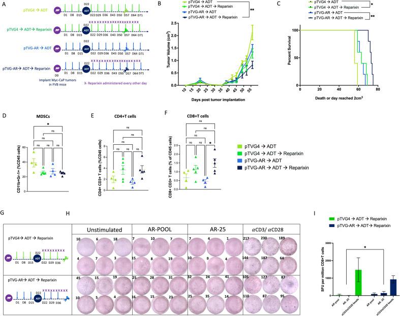https://cdn.ncbi.nlm.nih.gov/pmc/blobs/9bb9/11110578/3318353e6d31/jitc-2024-008848f05.jpg