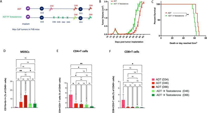https://cdn.ncbi.nlm.nih.gov/pmc/blobs/9bb9/11110578/be613bc20698/jitc-2024-008848f06.jpg