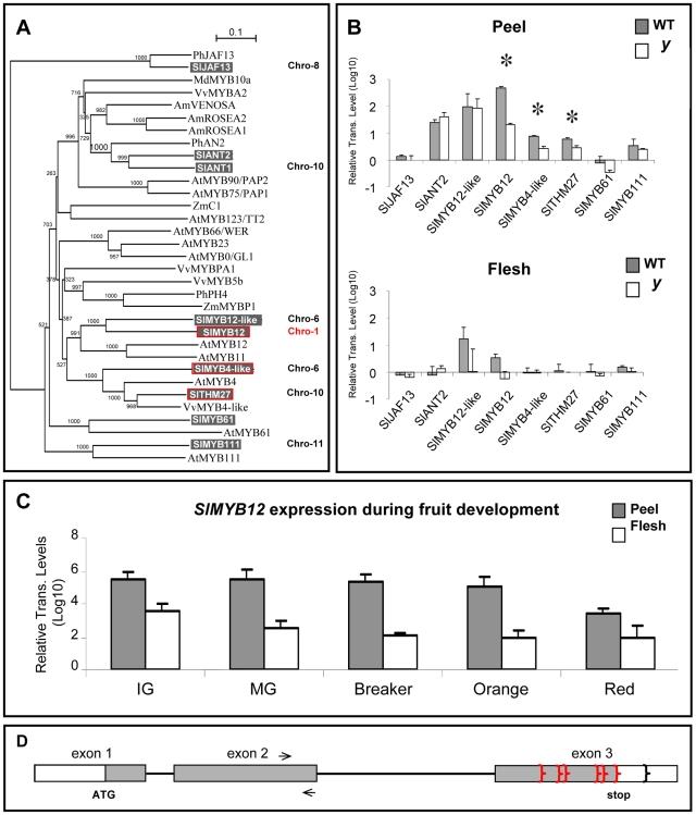 https://cdn.ncbi.nlm.nih.gov/pmc/blobs/9bba/2788616/b35cfa09bc5f/pgen.1000777.g008.jpg