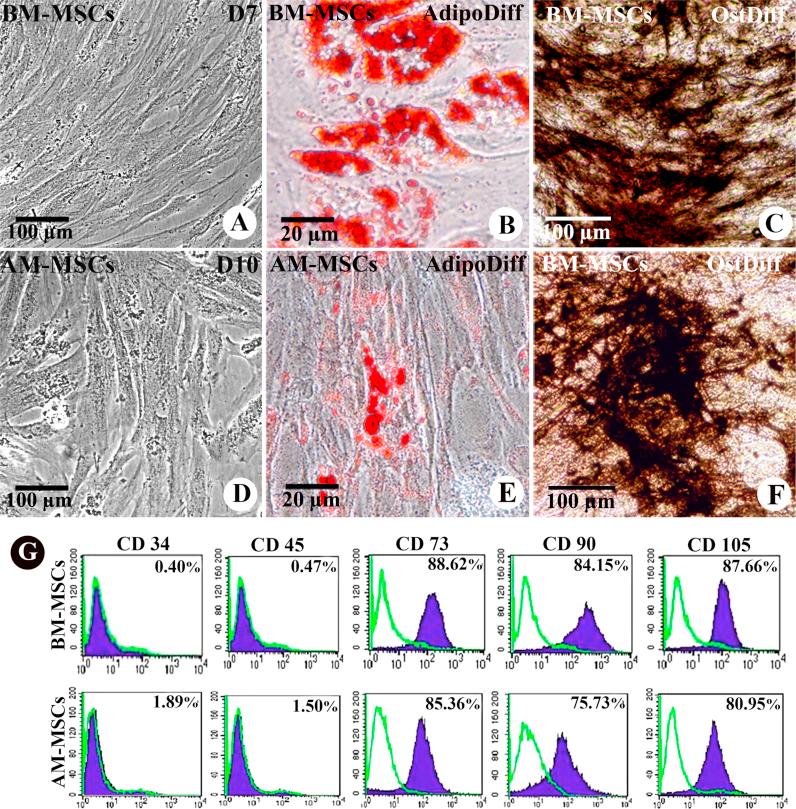 https://cdn.ncbi.nlm.nih.gov/pmc/blobs/9bbe/5613701/5c46ddacd522/gr1.jpg