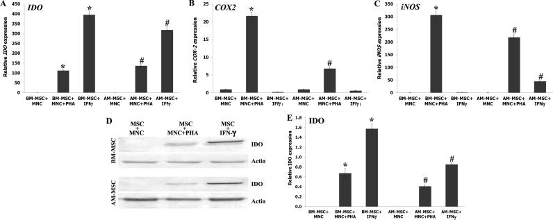 https://cdn.ncbi.nlm.nih.gov/pmc/blobs/9bbe/5613701/68e9ebc1f57c/gr3.jpg