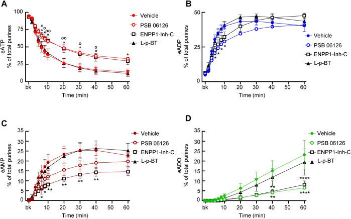 https://cdn.ncbi.nlm.nih.gov/pmc/blobs/9bbe/9246094/aa36f3613723/fphys-13-918100-g008.jpg