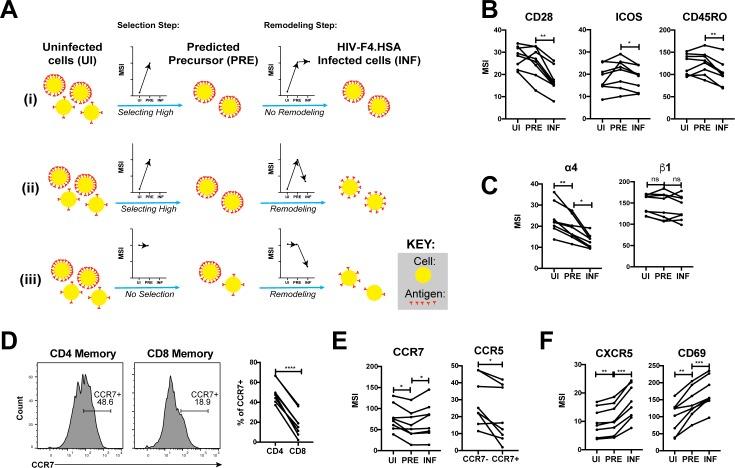 https://cdn.ncbi.nlm.nih.gov/pmc/blobs/9bbf/7250576/7c64dd1d09cb/elife-55487-fig5.jpg