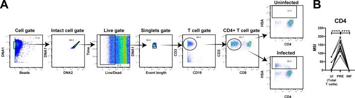 https://cdn.ncbi.nlm.nih.gov/pmc/blobs/9bbf/7250576/bbef2cef3e01/elife-55487-fig5-figsupp1.jpg