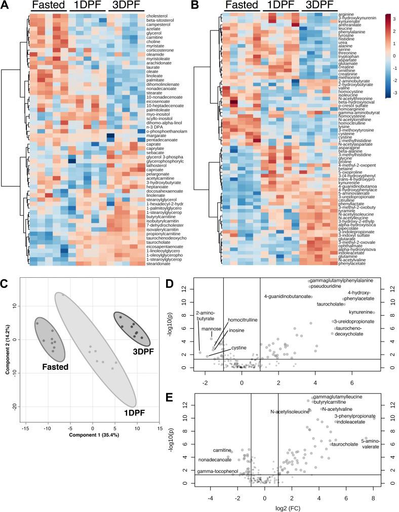 https://cdn.ncbi.nlm.nih.gov/pmc/blobs/9bbf/8958269/c093faac223c/JGP_202113008_Fig2.jpg