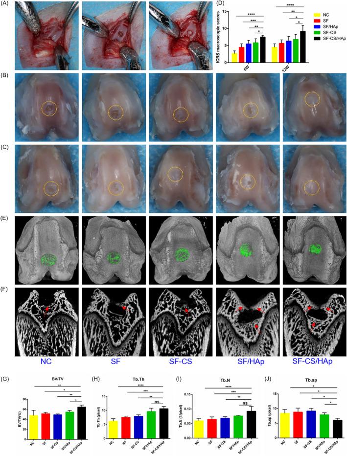 https://cdn.ncbi.nlm.nih.gov/pmc/blobs/9bc0/7653257/c32c92453b0e/CPR-53-e12917-g005.jpg