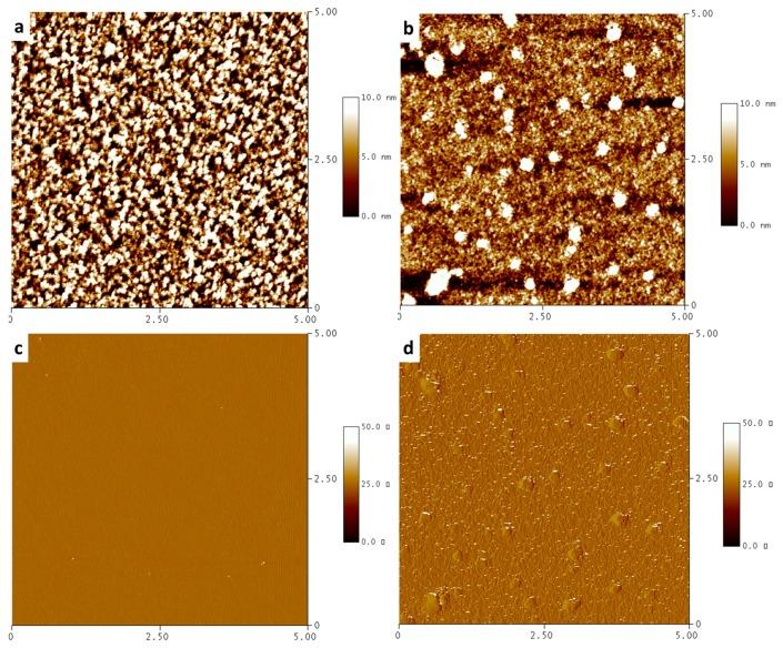 https://cdn.ncbi.nlm.nih.gov/pmc/blobs/9bc1/6415081/073e50f8ef90/polymers-10-00052-g006.jpg